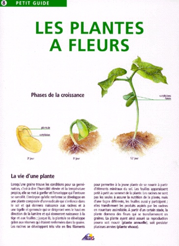  Collectif - Les Plantes A Fleurs.