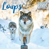  Collectif - Loups - Calendrier 2020 - de septembre 2019 à décembre 2020.