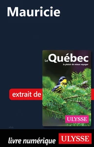 Mauricie