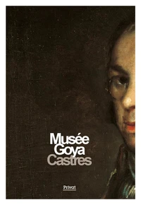 Musée Goya de Castres