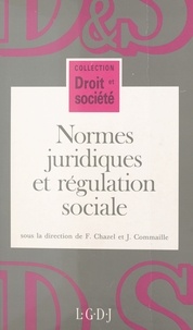  Collectif - Normes juridiques et régulation sociale.