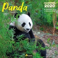  Collectif - Panda - Calendrier 2020 - de septembre 2019 à décembre 2020.