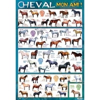 Posters recto verso- Cheval mon ami ! | Showmesound.org Posters recto verso- Cheval mon ami !
