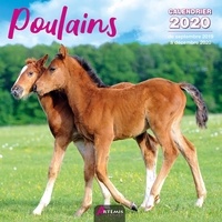  Collectif - Poulains - Calendrier 2020.