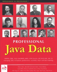 Professional Java Data