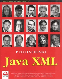 Professional Java Xml