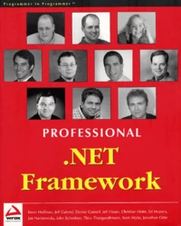 Professional .Net Framework