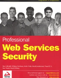 Professional Web Services Security
