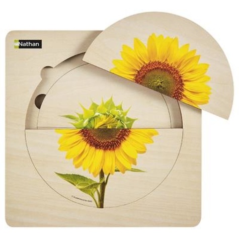  Collectif - Puzzle Cycle de vie - Tournesol.