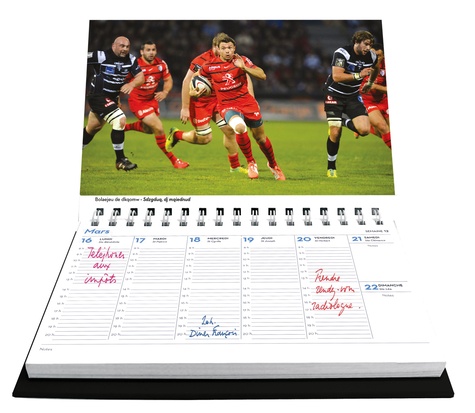 Cahier De Texte Stade Toulousain - Collection Officielle Rugby - Scolaire Et Réutilisable