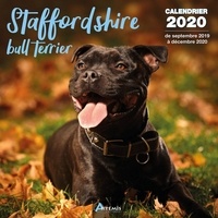  Collectif - Stafforshire bull terrier - Calendrier 2020 - de septembre 2019 à décembre 2020.
