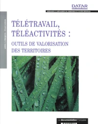 Télétravail, téléactivités