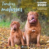  Collectif - Tendres molosses - Calendrier 2020 - de septembre 2019 à décembre 2020.