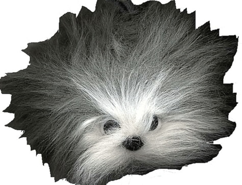  Collectif - Touffu, le chien de berger, chez le coiffeur.