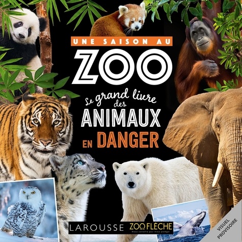  Collectif - UNE SAISON AU ZOO - Le grand livre des animaux en danger.