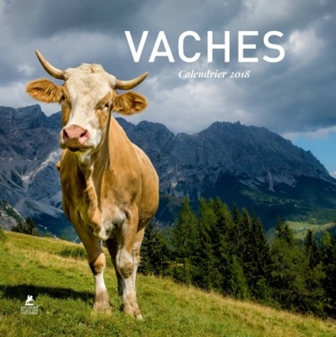 Livre Les Animaux De Nos Régions – Michael Chinery – 1991 – Très Bon état