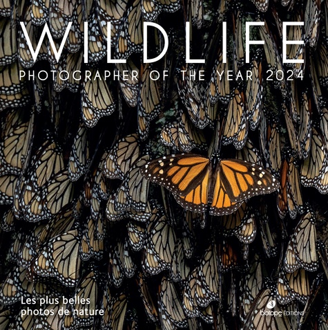 Wildlife Photographer of the Year 2024. Les plus belles photos de nature