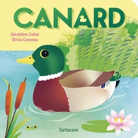 Canard
