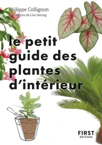 Le petit guide des plantes d'intérieur