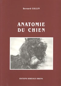 Anatomie du chien