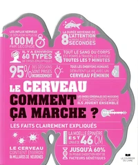 Le cerveau comment ça marche ?