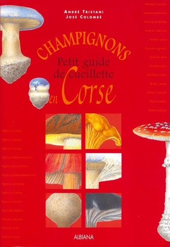 Colombe tristani & - Champignons - Petit guide de cueillette en Corse.