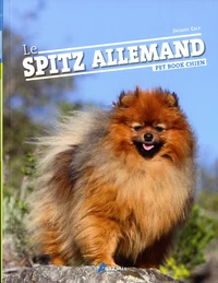 Le spitz allemand