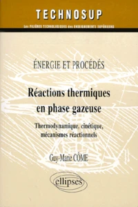 Reactions Thermiques En Phase Gazeuse. Energie Et Procedes, Termodynamique, Cinetique, Mecanisme Reactionnels