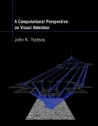 Computational Perspective on Visual Attention