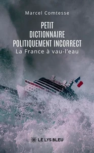 Petit dictionnaire politiquement incorrect