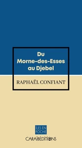 Du Morne-des-Esses au Djebel
