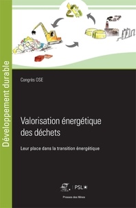 Pdf Francais Valorisation énergétique Des Déchets Leur - 