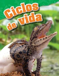 Ciclos de vida