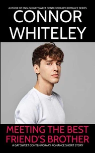 Meeting The Best Friend's Brother: A Gay Sweet Contemporary Romance Short Story