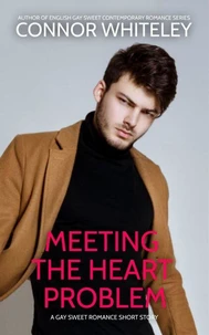 Meeting The Heart Problem: A Gay Sweet Romance Short Story