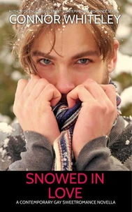 Snowed In Love: A Contemporary Gay Sweet Romance Novella