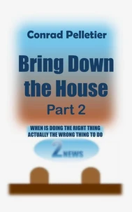 Bring Down The House Part 2