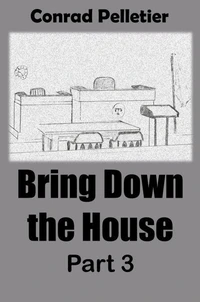 Bring Down The House Part 3