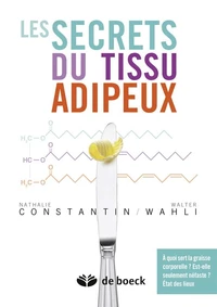 Les secrets du tissu adipeux