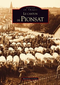 Le canton de Pionsat