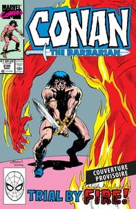 Conan le Barbare : L'intégrale (T24)