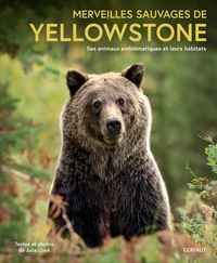 Merveilles sauvages de Yellowstone