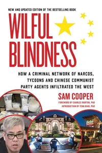 Wilful Blindness
