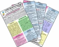 COPD - Beatmung (NIV - NPPV u. maschinelle Beatmung) - Medizinische Taschen-Karte