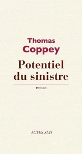 Potentiel du sinistre