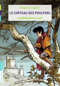 Le château des Poulfenc