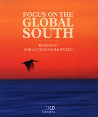 Focus on the global South