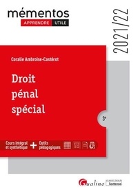 Coralie Ambroise-Castérot - Droit pénal spécial.