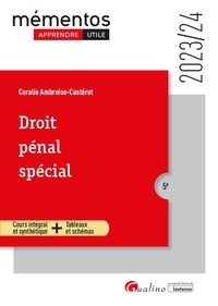 Coralie Ambroise-Castérot - Droit pénal spécial.