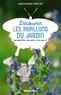 Coralie Beltrame et Antoine Cadi - Découvrir les papillons du jardin - Les identifier, les attirer, les nourrir.